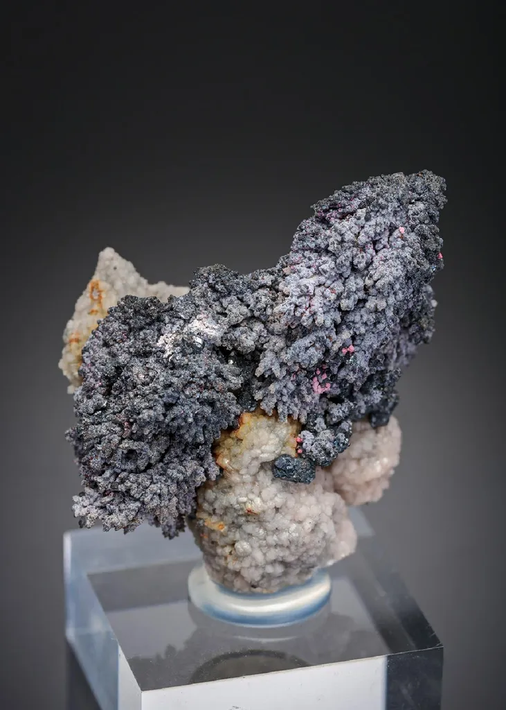 Rammelsbergite with Erythrite and Stephanite image