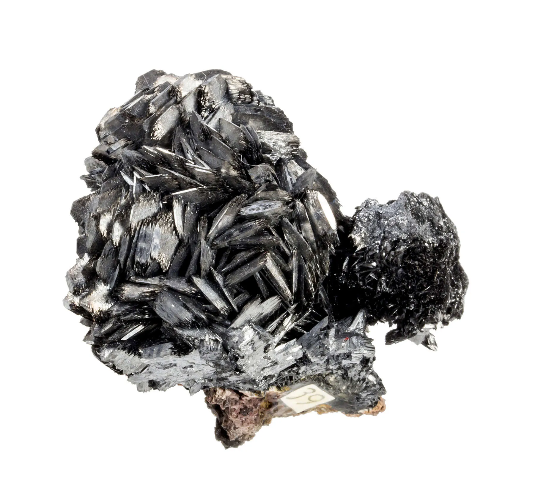 Ramsdellite - image 2