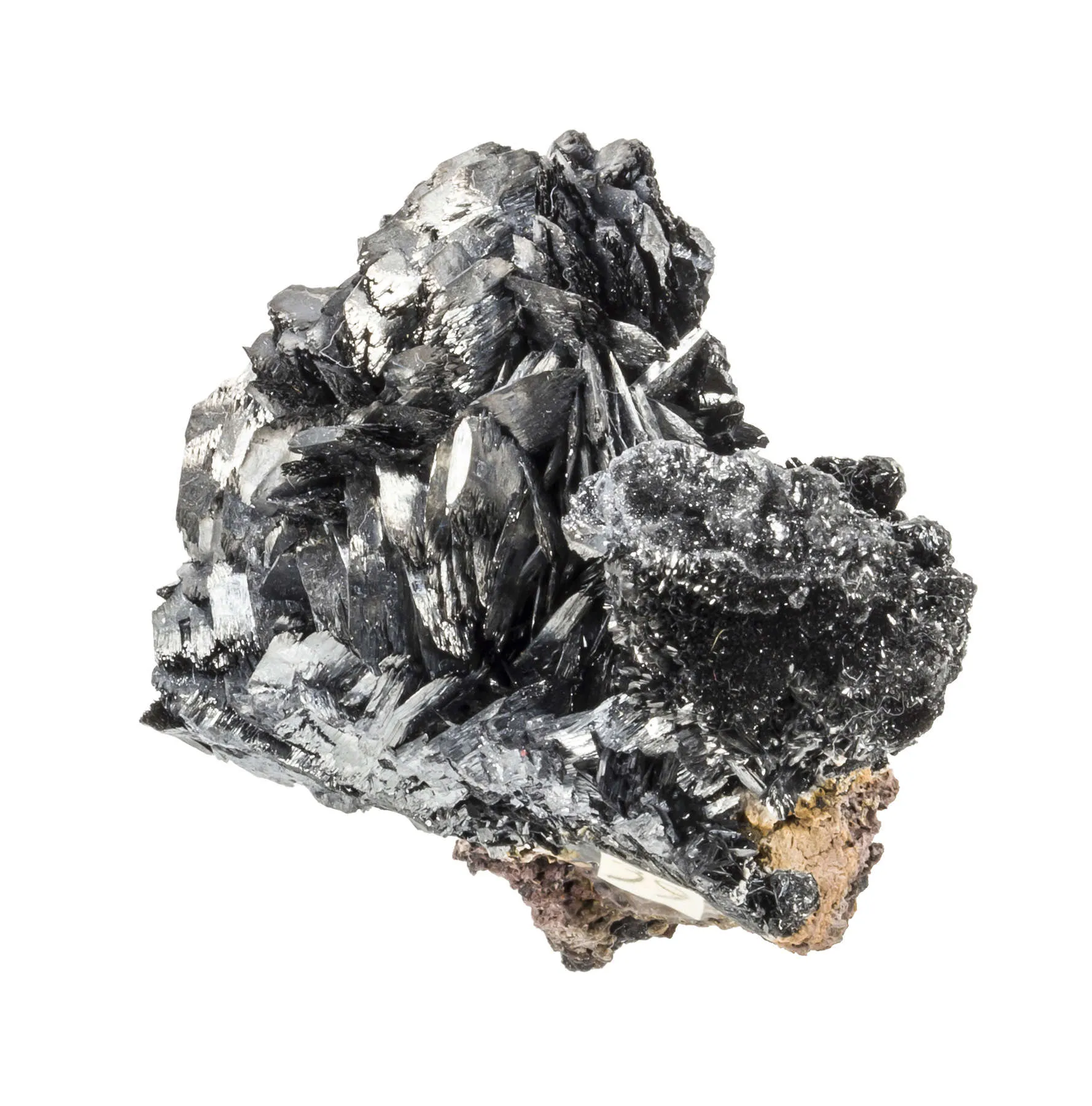 Ramsdellite - image 3