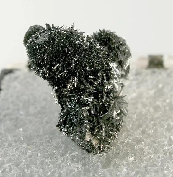 Ramsdellite image