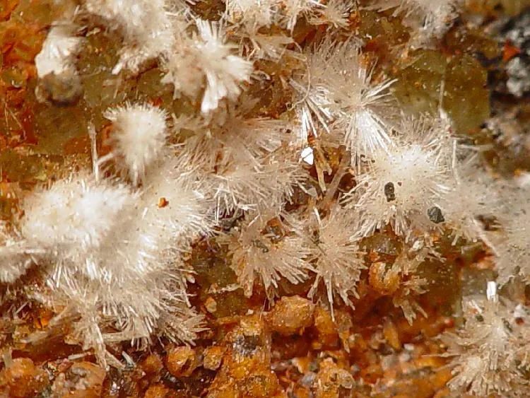 Rapidcreekite, Quartz image