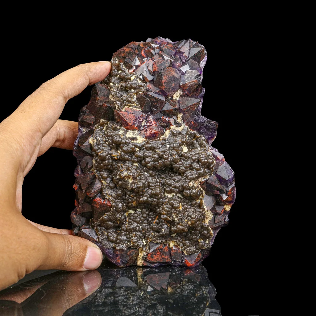 Rare Alien Amethyst Crystal Cluster with Botryoidal Goethite Coating – Unique Natural Mineral Specimen from Telangana, India - image 4