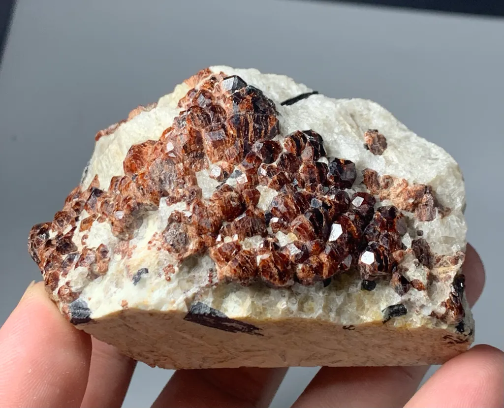 Rare Almandine Cluster Garnet from Afghanistan image