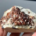Rare Almandine Cluster Garnet from Afghanistan - image 2