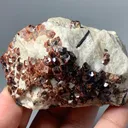 Rare Almandine Cluster Garnet from Afghanistan - image 5