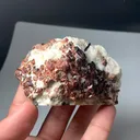 specimen video