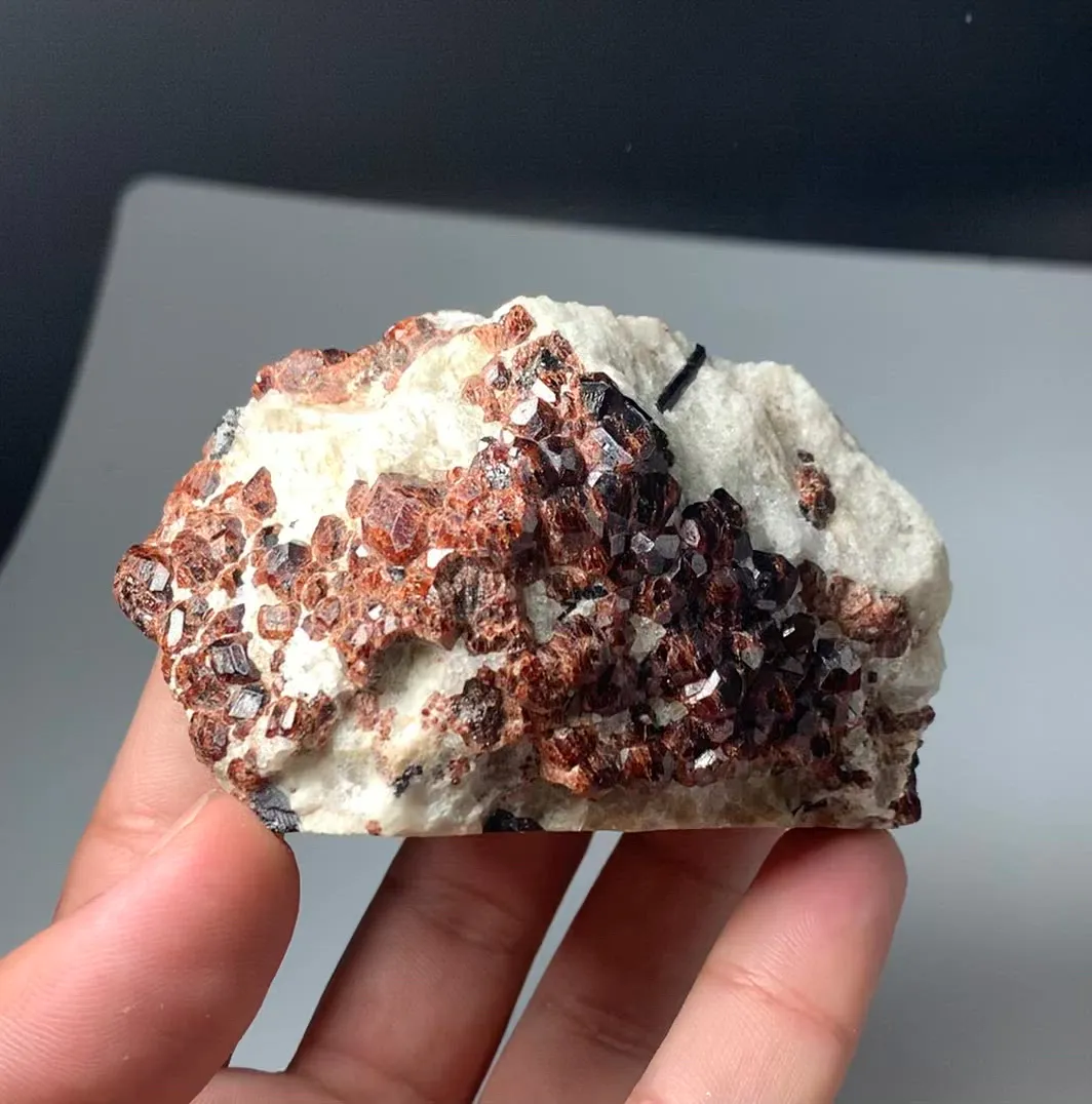 specimen video