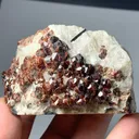 Rare Almandine Cluster Garnet from Afghanistan - image 4
