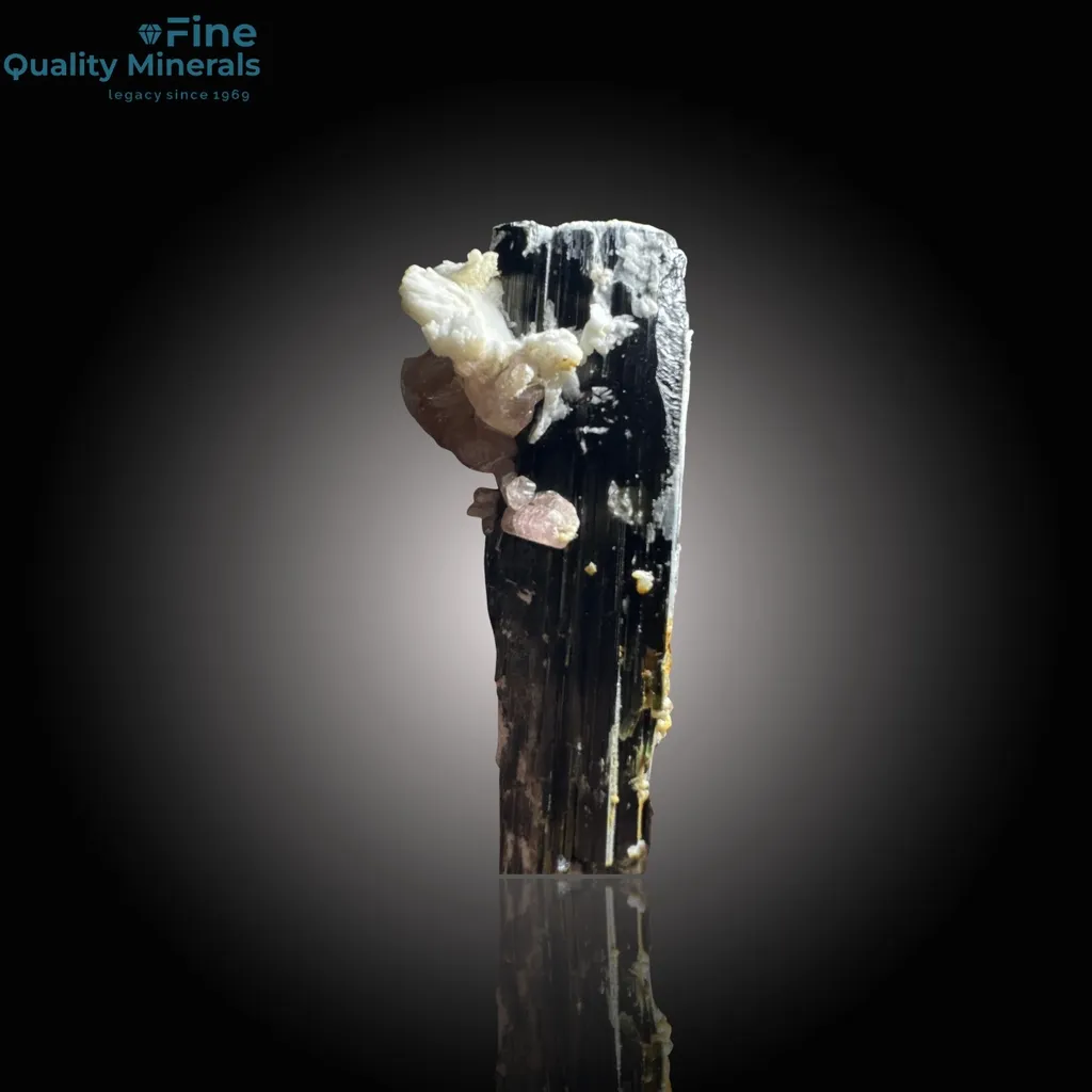 Rare Apatite with Schorl - image 2