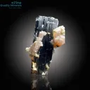 Rare Apatite with Schorl - image 4