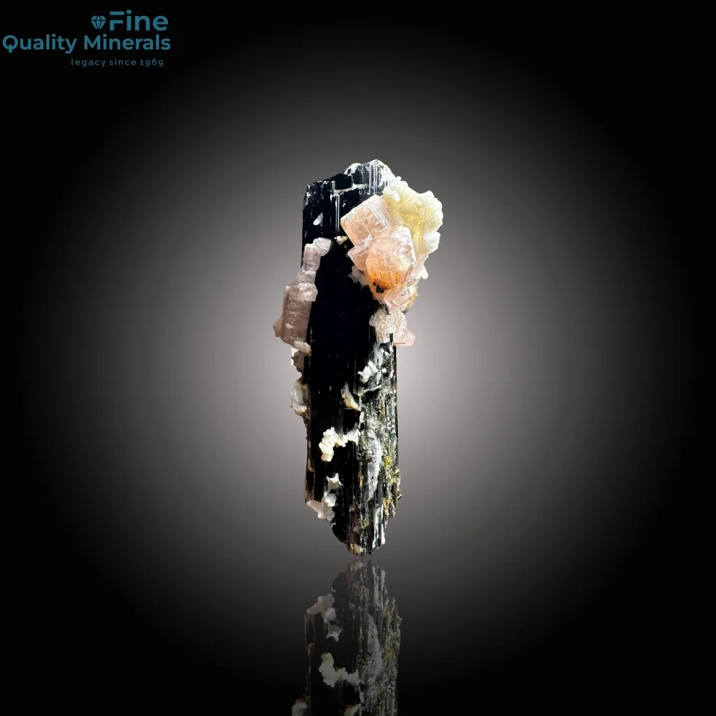 Rare Apatite with Schorl image