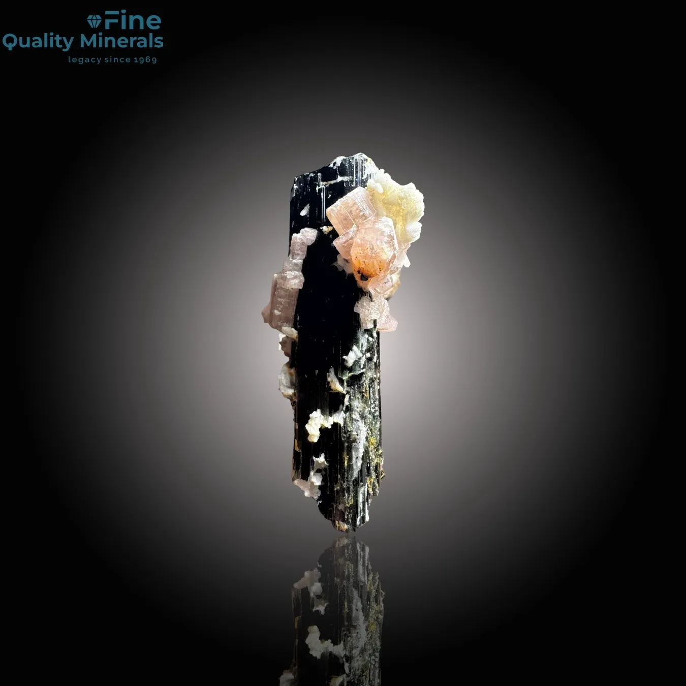 Rare Apatite with Schorl - image 1