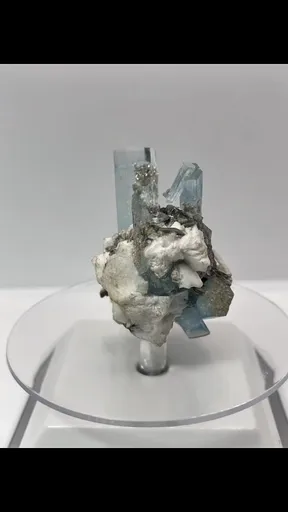 specimen video