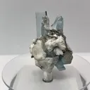 specimen video