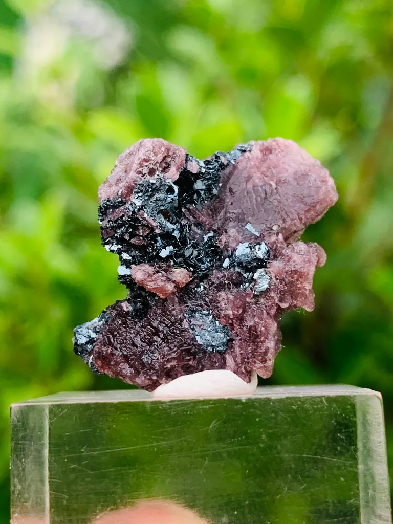 Rare Axinite with Magnetite Crystal Specimen – Dark Metallic Mineral Combination - image 4