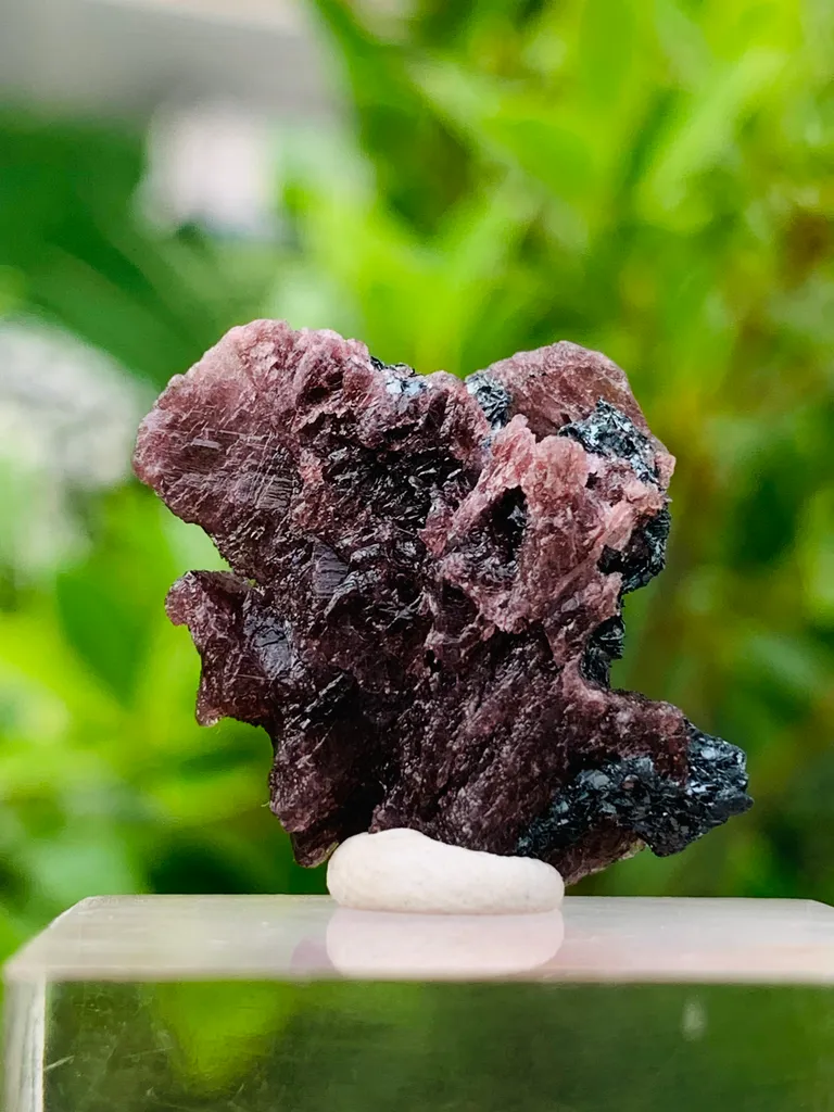 Rare Axinite with Magnetite Crystal Specimen – Dark Metallic Mineral Combination - image 3