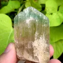 Rare Bi Color Hiddenite Kunzite Crystal from Afghanistan - image 6