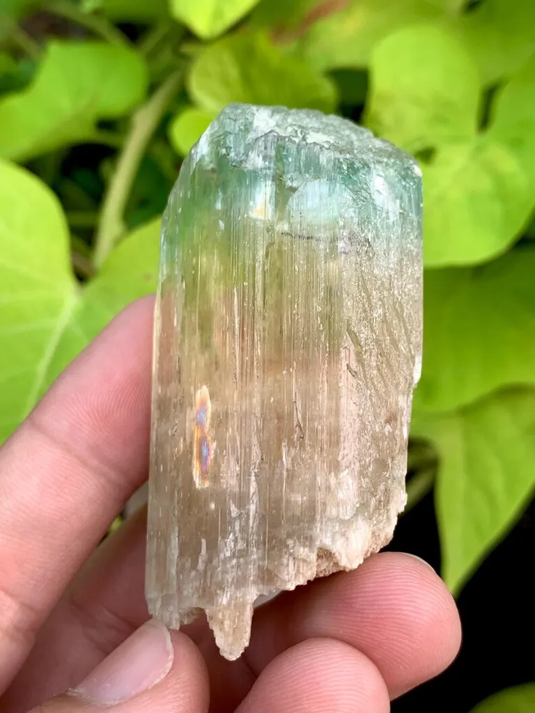 Rare Bi Color Hiddenite Kunzite Crystal from Afghanistan - image 7