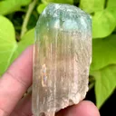 Rare Bi Color Hiddenite Kunzite Crystal from Afghanistan - image 7
