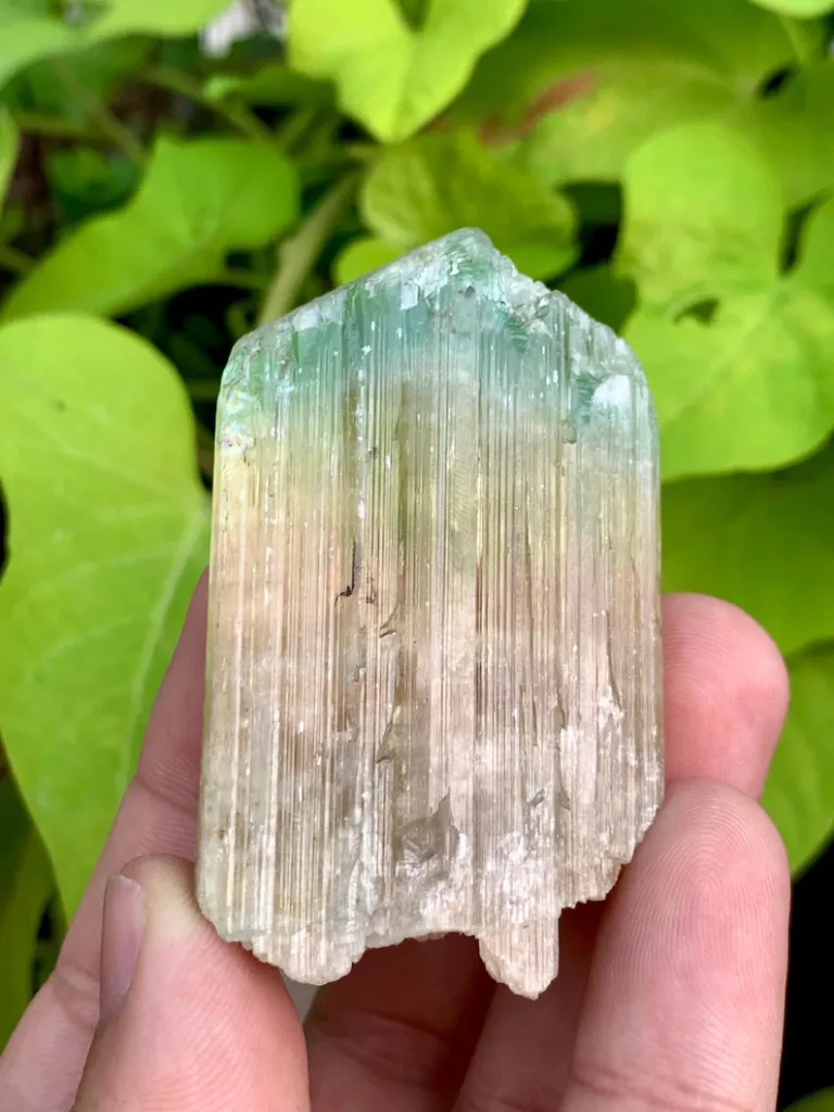 Rare Bi Color Hiddenite Kunzite Crystal from Afghanistan - image 4