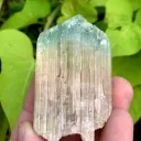 Rare Bi Color Hiddenite Kunzite Crystal from Afghanistan - image 4