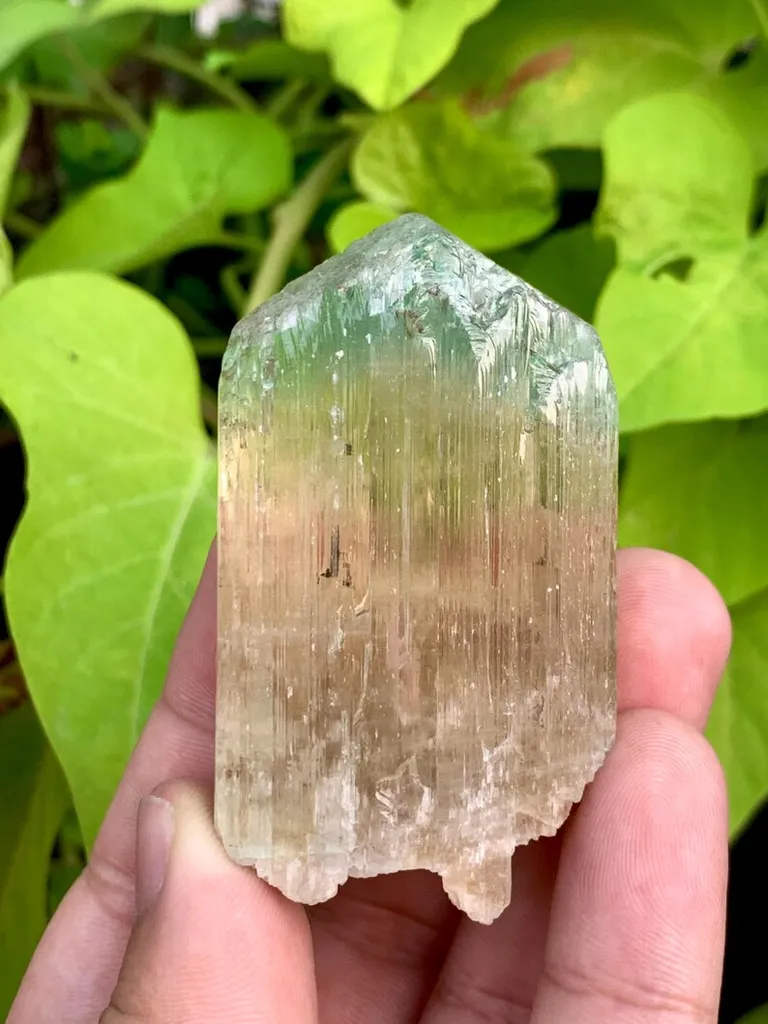 Rare Bi Color Hiddenite Kunzite Crystal from Afghanistan image