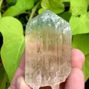 Rare Bi Color Hiddenite Kunzite Crystal from Afghanistan - image 2