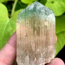 Rare Bi Color Hiddenite Kunzite Crystal from Afghanistan - image 3