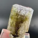 specimen video