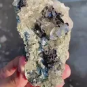 specimen video