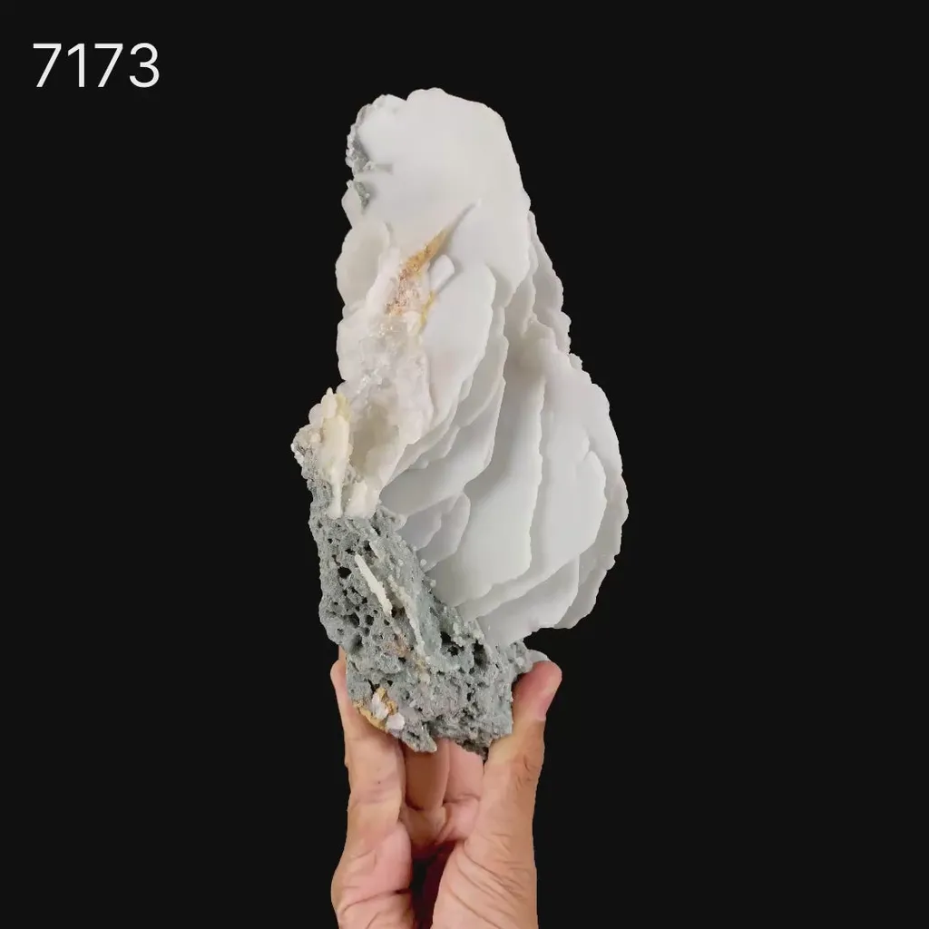 Rare Blade Calcite – Red Fluorescent Natural Mineral Specimen from Mumbai - image 8