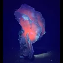 Rare Blade Calcite – Red Fluorescent Natural Mineral Specimen from Mumbai - image 1