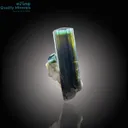 Rare Blue-Cap & Green Tourmaline on Natural Matrix - image 2