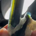 specimen video