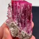 Rare blue cap red Tourmaline from Afghanistan - image 3