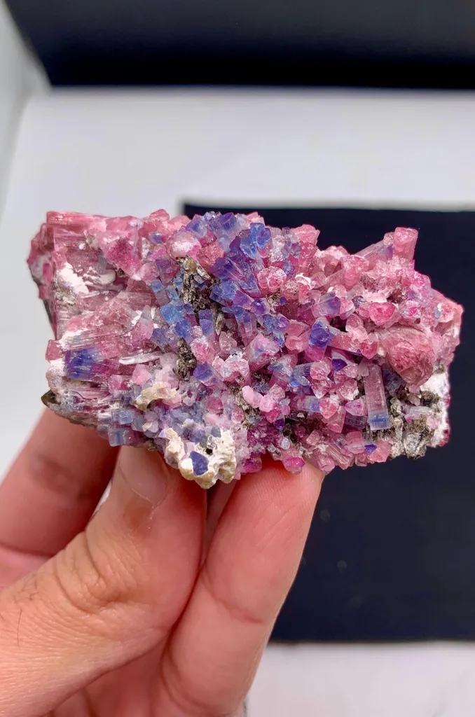 Rare blue cap red Tourmaline from Afghanistan image