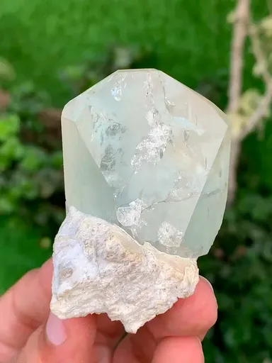 specimen video