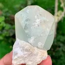 specimen video