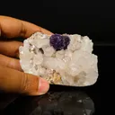 Rare Blue Fluorite with Quartz Natural Mineral Specimen - image 4