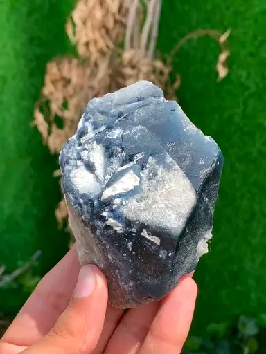 specimen video