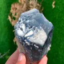 specimen video