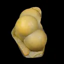 Rare Botryoidal Agatized Chalcedony Mineral Specimen – Natural Indian Crystal Cluster for Collectors - image 1