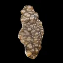 Rare Botryoidal Agatized Chalcedony Mineral Specimen – Natural Indian Crystal Cluster for Collectors - image 3