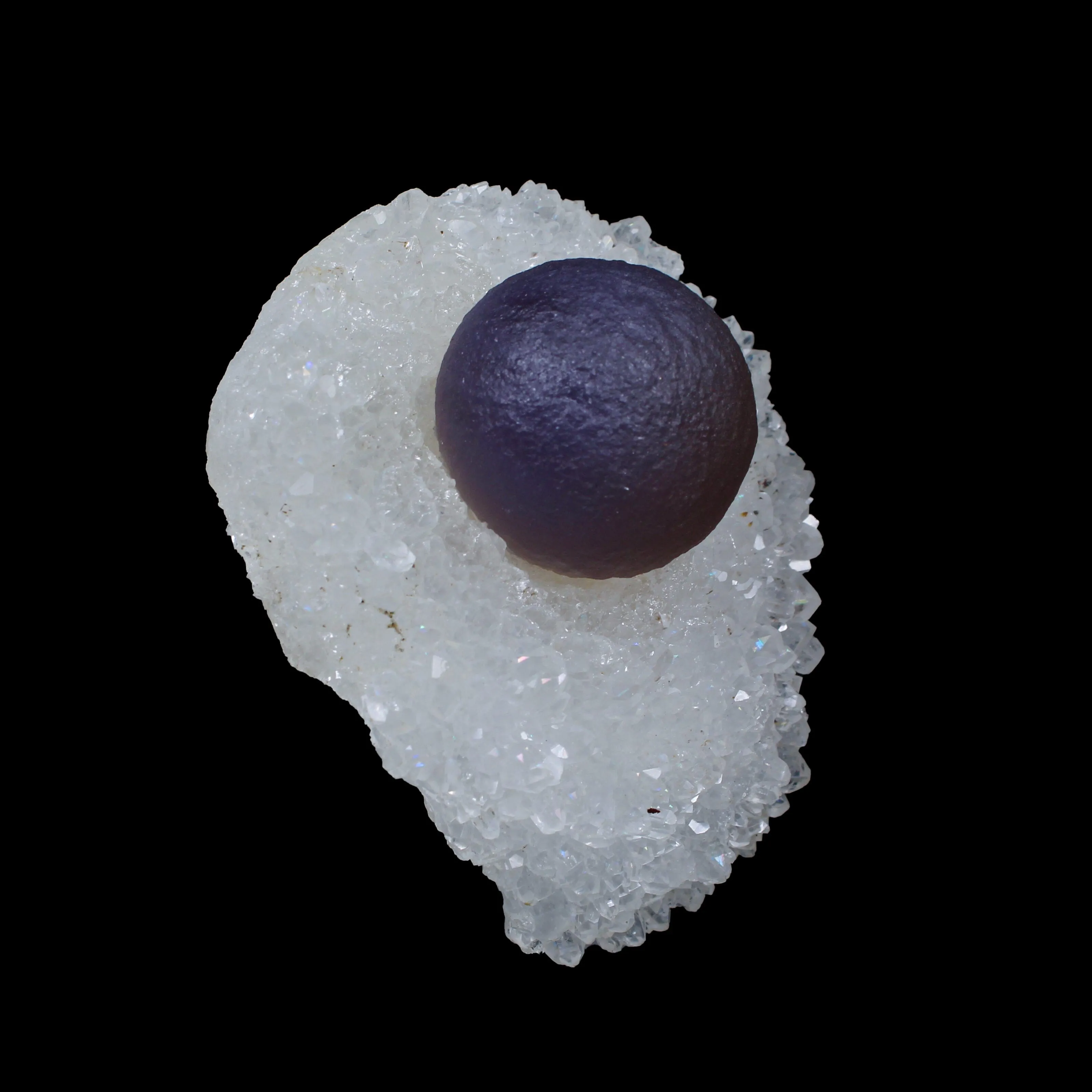Rare Botryoidal Dark Purple Fluorite on Sparkling Quartz – Natural Mineral Specimen from Madhya Pradesh, India G - image 2