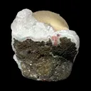 Rare Botryoidal Fluorite on Quartz Matrix – Premium Indian Mineral Specimen from Madhya Pradesh - image 6