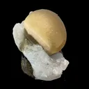Rare Botryoidal Fluorite on Quartz Matrix – Premium Indian Mineral Specimen from Madhya Pradesh - image 3