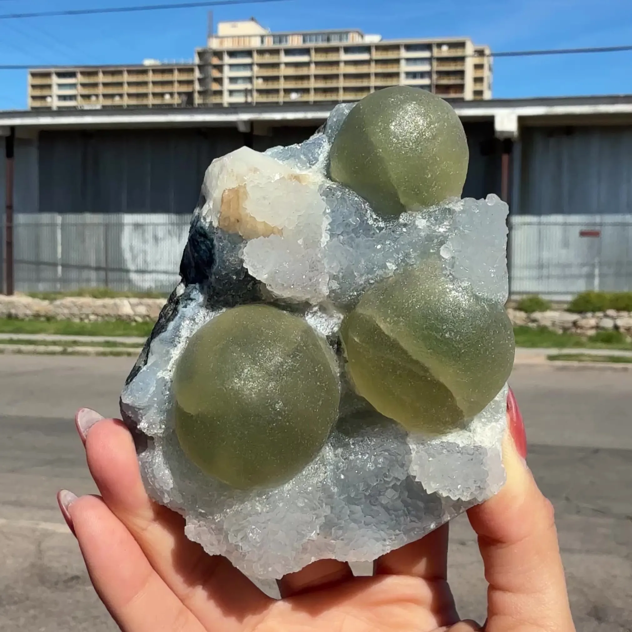 Rare Botryoidal Green Fluorite on Crystal Matrix – Natural Indian Mineral Specimen | Collector Grade | - image 6