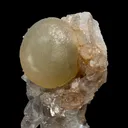 Rare Botryoidal Yellow Fluorite Ball on Amethyst Quartz Cluster – Natural Mineral Specimen from Madhya Pradesh - image 7