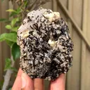 Rare Brown Childrenite Crystals Cluster on Quartz Specimen from Pakistan - image 4