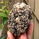 Rare Brown Childrenite Crystals Cluster on Quartz Specimen from Pakistan - image 5